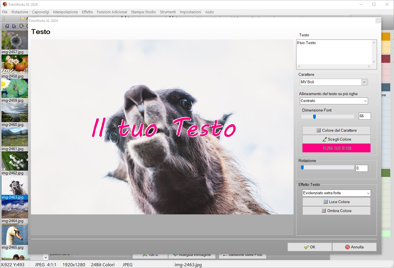 Programma per modificare foto sintesi dell immagine